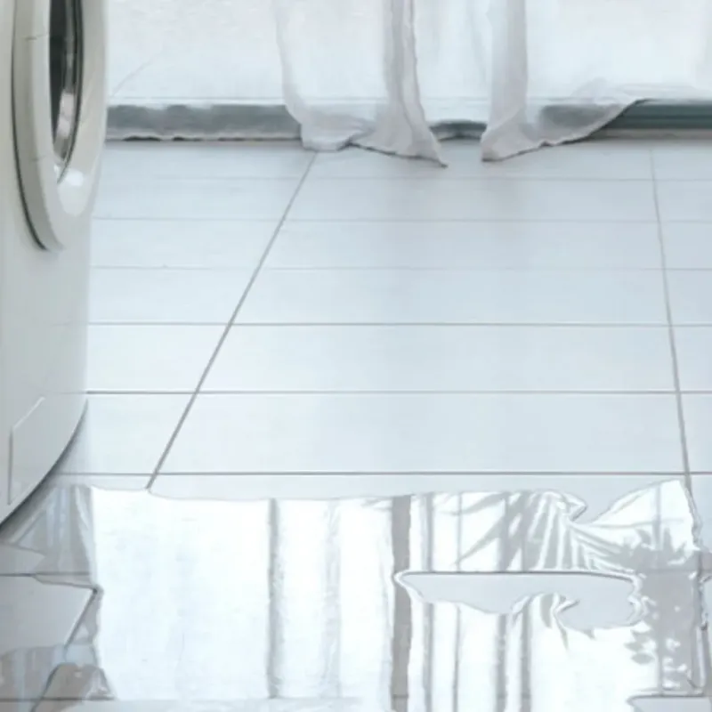 Appliance Leak Cleanup in Irmo, SC